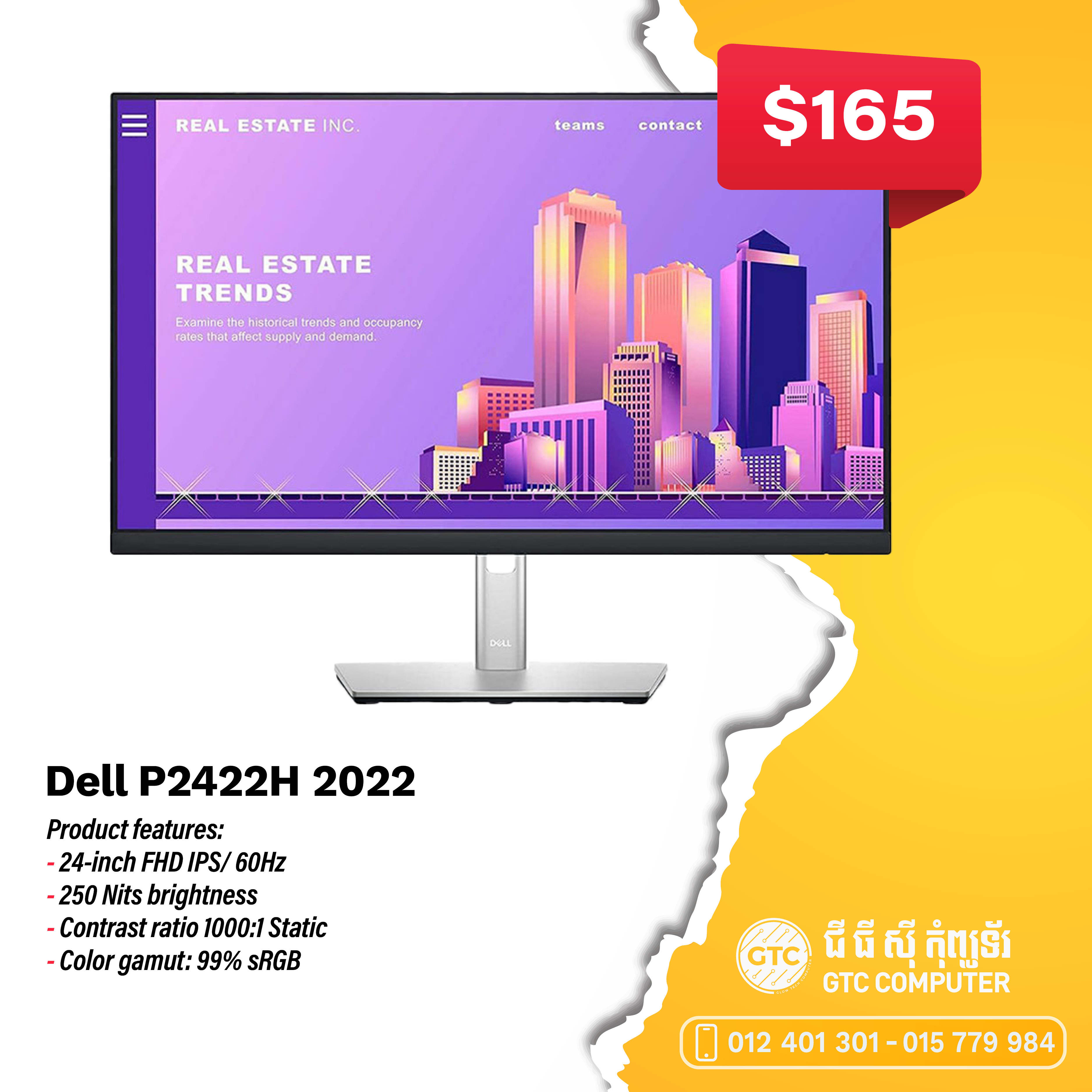 Dell P2422H 24-inch 2022