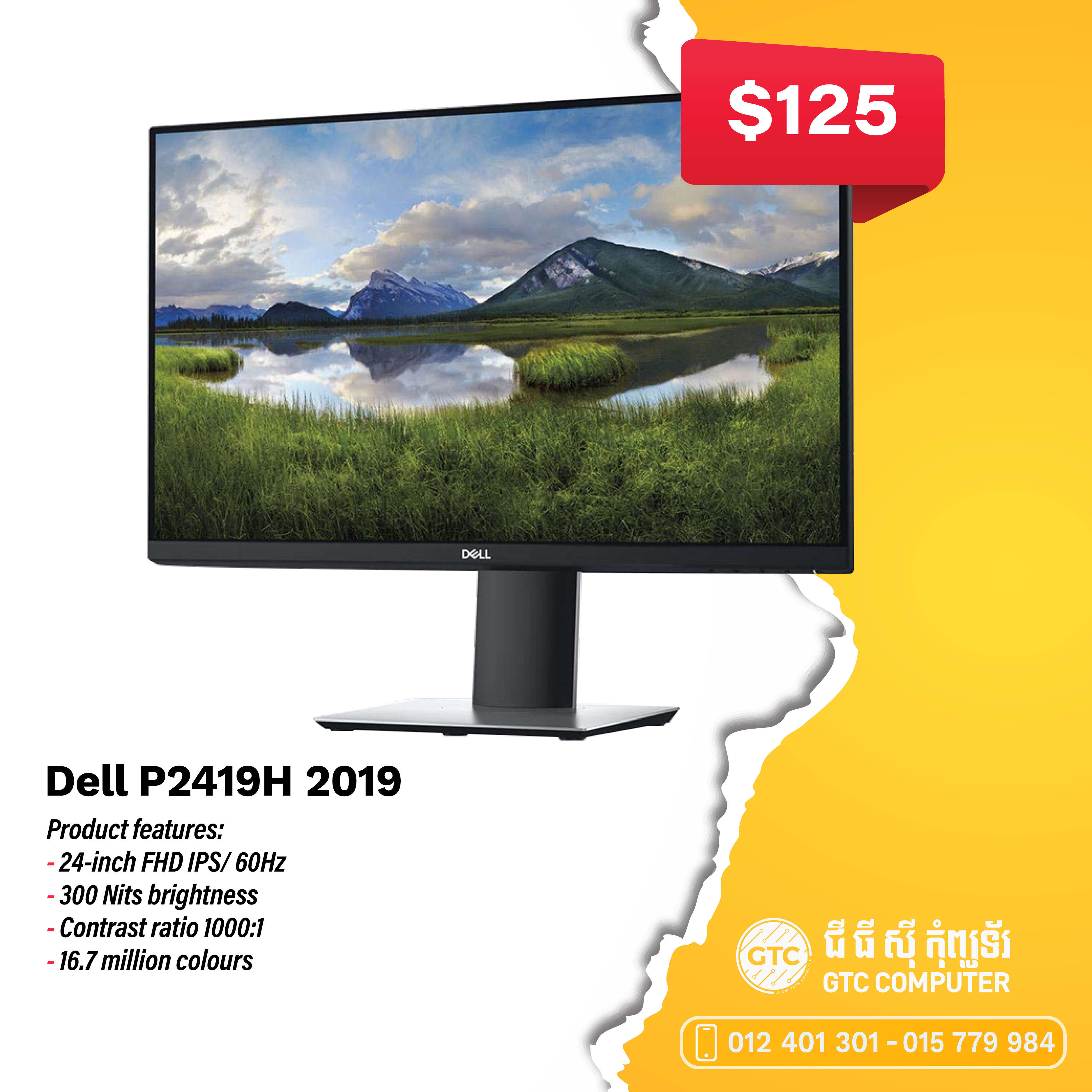 Dell P2419H 24-inch 2019